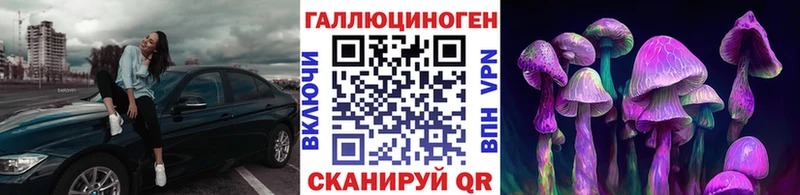 закладки  Полтавская  мега как зайти  Галлюциногенные грибы мухоморы 